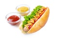 Homemade Hot Dog with mustard, ketchup, tomato and fresh salad leaves isolated on white background Royalty Free Stock Photo