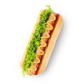 Homemade Hot Dog with mustard, ketchup, tomato and fresh salad leaves isolated on white background Royalty Free Stock Photo