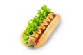 Homemade Hot Dog with mustard, ketchup, tomato and fresh salad leaves isolated on white background Royalty Free Stock Photo