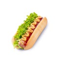 Homemade Hot Dog with mustard, ketchup, tomato and fresh salad leaves isolated on white background Royalty Free Stock Photo