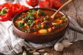 Homemade Hungarian Goulash soup bogracs close-up. horizontal