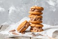 Homemade ice cream sandwich Royalty Free Stock Photo