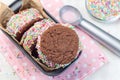 Homemade ice cream sandwich with chocolate chip cookie, watermelon ice cream and covered with colorful sprinkles, horizontal, top Royalty Free Stock Photo