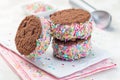 Homemade ice cream sandwich with chocolate chip cookie, watermelon ice cream, covered with colorful sprinkles, on  plate, Royalty Free Stock Photo