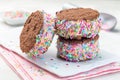 Homemade ice cream sandwich with chocolate chip cookie, watermelon ice cream, covered with colorful sprinkles, on a white plate, Royalty Free Stock Photo