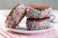 Homemade ice cream sandwich with chocolate chip cookie, watermelon ice cream, covered with colorful sprinkles, on a white plate, Royalty Free Stock Photo