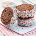 Homemade ice cream sandwich with chocolate chip cookie, watermelon ice cream, covered with colorful sprinkles, on a white plate, Royalty Free Stock Photo