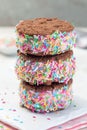 Homemade ice cream sandwich with chocolate chip cookie, watermelon ice cream, covered with colorful sprinkles, on a white plate, Royalty Free Stock Photo