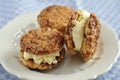 Homemade ice cream sandwich Royalty Free Stock Photo