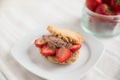 Homemade ice cream sandwich with chocolate ice cream Royalty Free Stock Photo