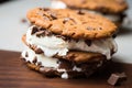 Homemade ice cream sandwich with cookies Royalty Free Stock Photo