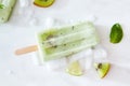 Fruit ice cream with slices of kiwi, mint and slices of ice on a white background. Summer dessert. Flat lay Royalty Free Stock Photo