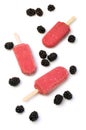 Homemade ice lolly Royalty Free Stock Photo