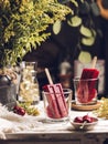 Homemade Ice Popsicles on the table Royalty Free Stock Photo