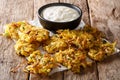 Homemade Indian fried onion bhaji with yogurt close-up. horizontal Royalty Free Stock Photo