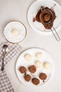 Homemade Indian round vegetarian sweets. Coconut and cocoa balls in a white bowl with coconut shavings Royalty Free Stock Photo