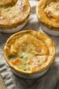 Homemade Individual Chicken Pots Pies