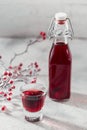 Homemade infused vodka, tincture or liqueur of red cherry Royalty Free Stock Photo