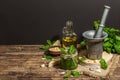 Homemade Italian basil pesto sauce in a vintage mortar with pestle Royalty Free Stock Photo