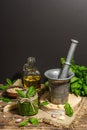 Homemade Italian basil pesto sauce in a vintage mortar with pestle Royalty Free Stock Photo