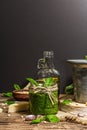 Homemade Italian basil pesto sauce in a vintage mortar with pestle Royalty Free Stock Photo