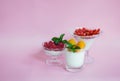 Homemade italian dessert panna cotta with fresh raspberry, apricots  and strawerry on pink background. Selective focus Royalty Free Stock Photo