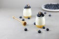 Homemade Italian dessert panna cotta with fruits jelly, fresh blue berries and honey on gray background.