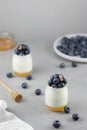 Homemade Italian dessert panna cotta with fruits jelly, fresh blue berries and honey on gray background.