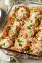 Homemade Italian Eggplant Parmesan Royalty Free Stock Photo