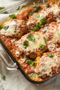 Homemade Italian Eggplant Parmesan Royalty Free Stock Photo