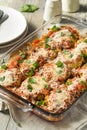 Homemade Italian Eggplant Parmesan Royalty Free Stock Photo