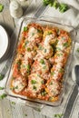 Homemade Italian Eggplant Parmesan Royalty Free Stock Photo