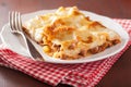 Homemade italian lasagna on plate Royalty Free Stock Photo