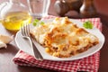 Homemade italian lasagna on plate Royalty Free Stock Photo