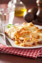Homemade italian lasagna on plate Royalty Free Stock Photo
