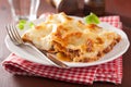 Homemade italian lasagna on plate Royalty Free Stock Photo