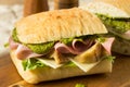 Homemade Italian Panino Sandwich