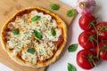 Homemade Italian pizza Napoletana with fresh tomato and garlic sauce, mozzarella cheese and basil leaves Royalty Free Stock Photo