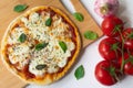 Homemade Italian pizza Napoletana with fresh tomato and garlic sauce, mozzarella cheese and basil leaves Royalty Free Stock Photo