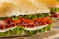 Homemade Italian Sub Sandwich Royalty Free Stock Photo