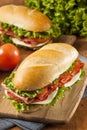 Homemade Italian Sub Sandwich Royalty Free Stock Photo