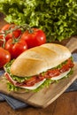 Homemade Italian Sub Sandwich Royalty Free Stock Photo