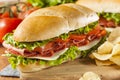 Homemade Italian Sub Sandwich Royalty Free Stock Photo
