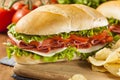 Homemade Italian Sub Sandwich Royalty Free Stock Photo