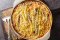 Homemade Jansson\'s temptation made from potatoes, onion and sprats closeup on the baking dish. Horizontal top view