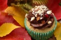 Homemade fall cupcake party