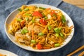 Homemade Japanese Chicken Yakisoba Noodles