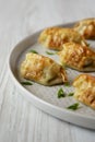 Homemade japanese gyoza on a plate, side view. Asian food. Close-up