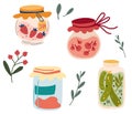 Homemade jars of preserving the fruit and vegetables. Set of glass jars with preserved vegetables, stewed fruits and berry jams.