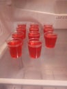 Homemade Jell-O Shots! :& x29; Royalty Free Stock Photo